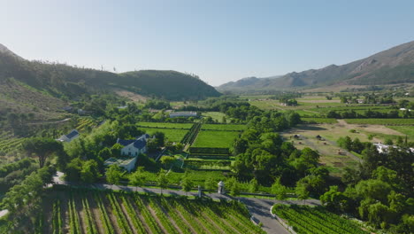 Forwards-fly-above-green-vegetation-around-luxurious-residence.-Agricultural-countryside.-South-Africa